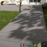 WPC Plastic Wood Composite Outdoor Decking/ Outdoor Garden Flooring (TS-01)