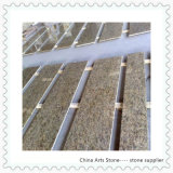 Chinese Stone Marble Granite Supermarket Kitchen Countertop for Retail