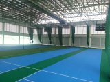 Maunsell International High Quality PVC Flooring for Cricket Court Indoor /Outdoor in Roll