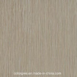 Building Material Linestone Series Ceramic Glazed Rustic Floor Tile (600*600)