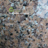 China Quarry Owner G458 Pink Granite Tile for Wall Floor Covering Cladding Siding