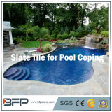 Natural Stone Granite/Sandstone/Slate for Swimming Pool Coping/Pool Coping/Pool Surrounding