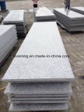 Natural Shandong White Granite Slab& Tile for Flooring, Countertop &Vanity Top