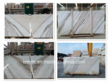 High Sales Palissandro Classico White Marble for Building
