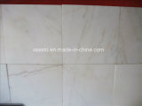 China White Marble Indoor Floor/Wall Tile