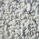 White Round Pebble/ Gravel Stone Wholesale for Garden