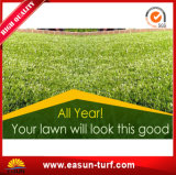 All Year Green Artificial Grass Landscaping
