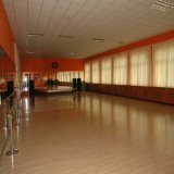 2-10mm Thick Vinyl Roll Indoor Dance PVC Floor