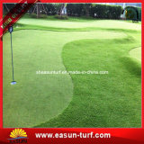 Golf Putting Green Artificial Grass