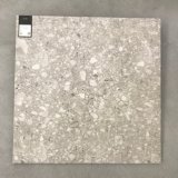 Italian Concept Porcelain Floor and Wall Tile (TER603)