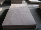 Commercial Wood Okoume Plywood 18mm