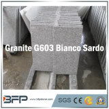 G603 Granite for Polished Floor and Wall Cladding Tile/Slab/Stair/Paver