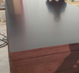 Poplar Phenolic Brown Film Faced Shuttering Plywood for Construction (15X1250X2500mm)