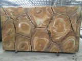 Stone Wood Quartzite Slabs Tiles Brazil Yellow Quartzite