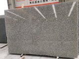 Bala White Granite Slabs&Tiles Granite Flooring&Walling