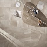 Diana Matte Semi-Polishing Ceramic Porcelain Floor Tile (GCT6300)