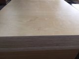 8mm Decorating Bamboo Plywood for Partition Wall Board/Vertical Grain1 Ply
