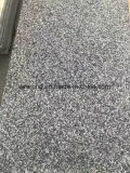 New Padang Dark Grey Poilshed/Flamed G654 Granite Tile for Floor