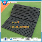 Anti-Skid Interlocking Stable Mats, Rubber Used Cow Tile