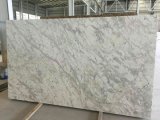 High Quality Lanka White Granite