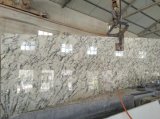 White Orion Granite Slabs&Tiles Granite Flooring&Walling