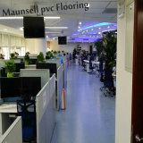 Professional Vinyl and Plastic Environment Roll Office Flooring