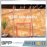 Gillo Golden Color Natural Marble Slabs/Tiles