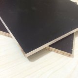 Poplar Core Black Film Faced Waterproof Wood for Construction (6X1250X2500mm)