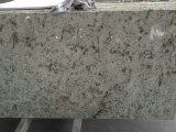 Galaxy White Granite Slabs&Tiles Granite Flooring&Walling