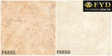 Porcelain Floor 600X600mm Tile (F6850)