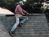 Asphalt Shingles/Asphalt Roofing Shingles/Roof Tiles
