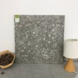 Natural/Lappato Tile 600*600mm Porcelain Floor and Wall Ceramic Tile (TER604-CINDER)