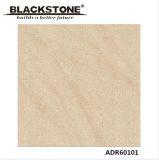 Good Quality 600X600mm Glazed Porcelain Floor Tile Rustic Surface (ADR60101)