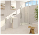 300X600mm Ink-Jet Glazed Interior Ceramic Wall Tile for Bathroom (CP314)