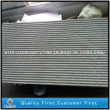 China Black Granite Stone Tiles for Flooring and Wall