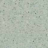 600*600mm Green Color Granite Porcelain Floor Tile for Floor Decoration