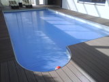 Swimming Pool WPC Deck with CE, Fsc, SGS, Certificate