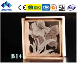 Jinghua High Quality Artistic B-14 Painting Glass Block/Brick