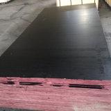 Poplar Core Veneer Black Color Layer Film Faced Plywood (9X1250X2500mm)