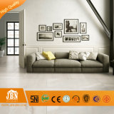 450X900mm Grey Color Cement Porcelain Floor Rustic Gres Tile (JTX49301D)