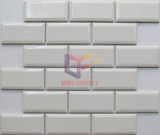 Belved White Ceramic Tile mosaic for Wall (CST261)