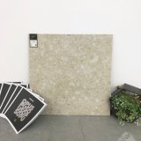 600*600mm Natural/Lappato Tile Porcelain Floor Tile (TER601)