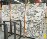 China Factory Polished White Arabescato Vagli Marble Tile