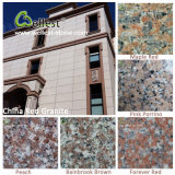 Hot Selling G687/G664/G562/G681/G635 Pink Red Granite Tile for Floor/Wall Cladding