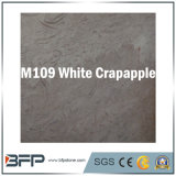 White/Grey/Yellow/Beige Marble Polished Floor and Wall Cladding Tile