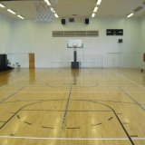 China Leisure Venues Flooring for Gyms, Weight Rooms