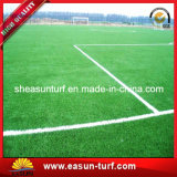 Wholesale Plastic Soccer Field Turf Artificial Grass