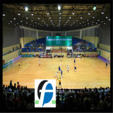 China Indoors Football Courts Sports Flooring