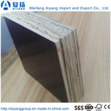 Top Grade Container Flooring Plywood with Fsc Certificate