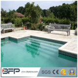 Honed Surface Grey Color Bullnose Edge Slate Pool Coping Stone